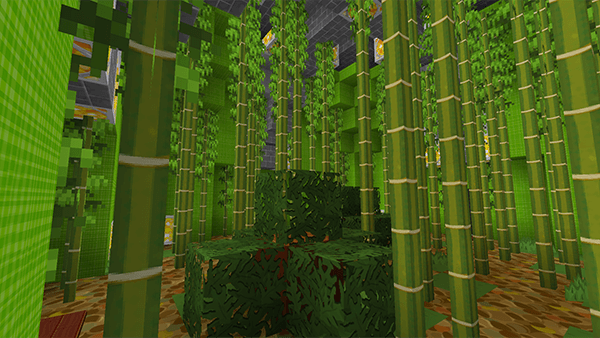 Bamboo